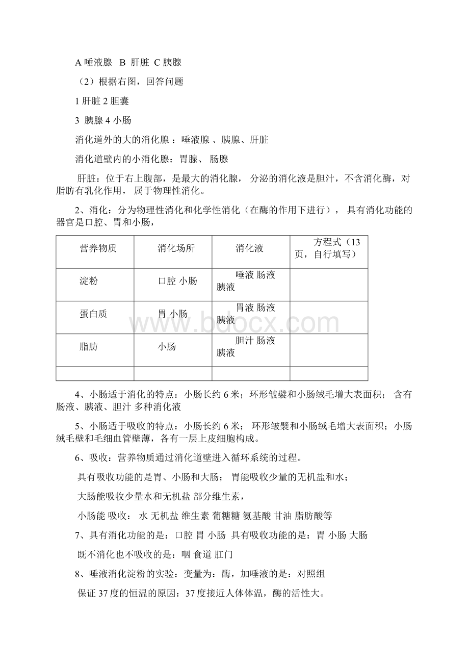 人教版七年级下生物知识点Word格式.docx_第2页