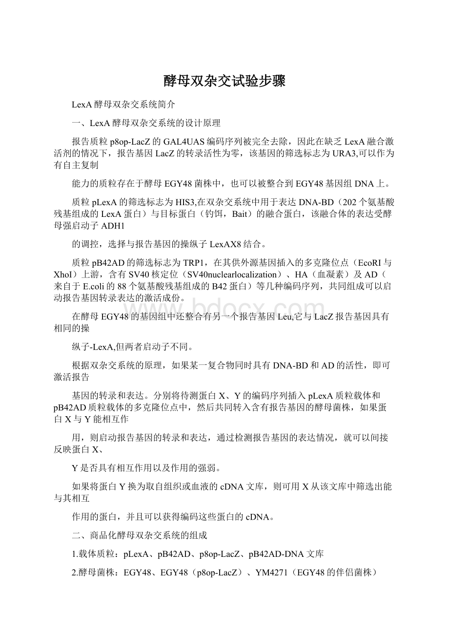 酵母双杂交试验步骤.docx_第1页