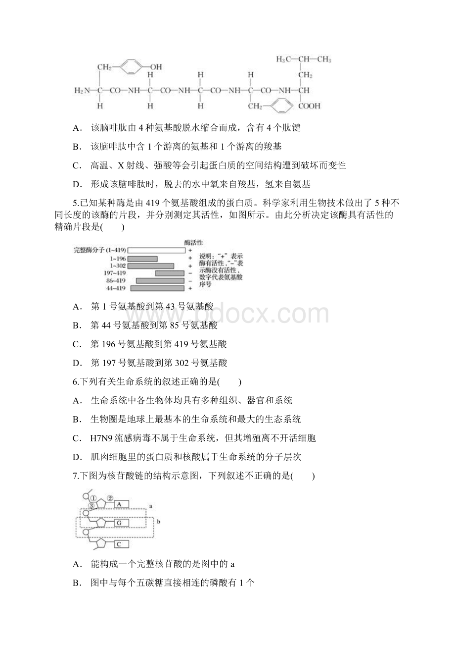 安徽省定远重点中学高一生物上学期期末考试试题Word文档格式.docx_第2页