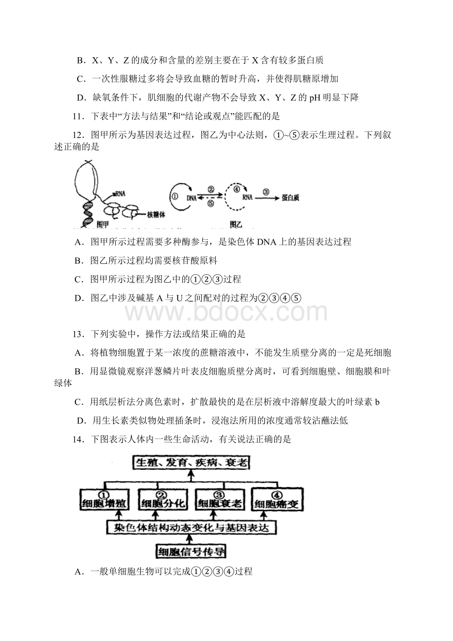 高三上学期调研考试生物试题 含答案.docx_第3页