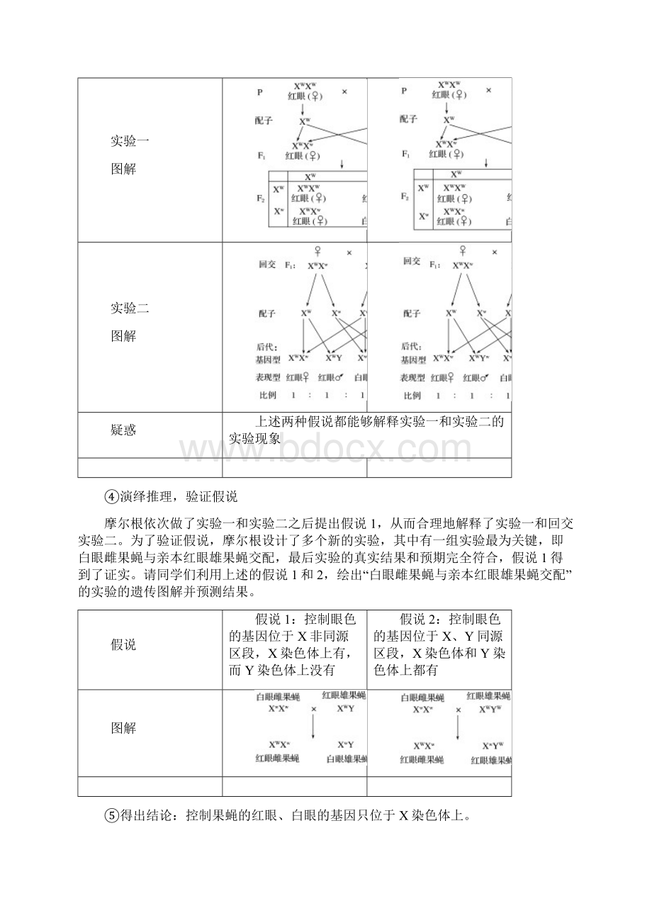 高中生物大一轮复习讲义第五单元+遗传的基本规律和人类遗传病+第16讲+学案.docx_第3页