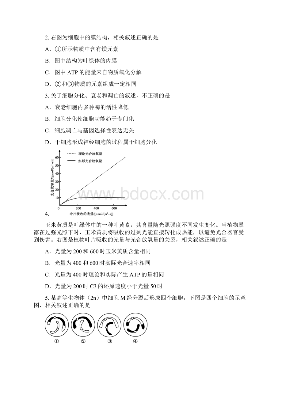 北京市顺义区届高三二模生物试题 Word版含答案Word文档下载推荐.docx_第2页