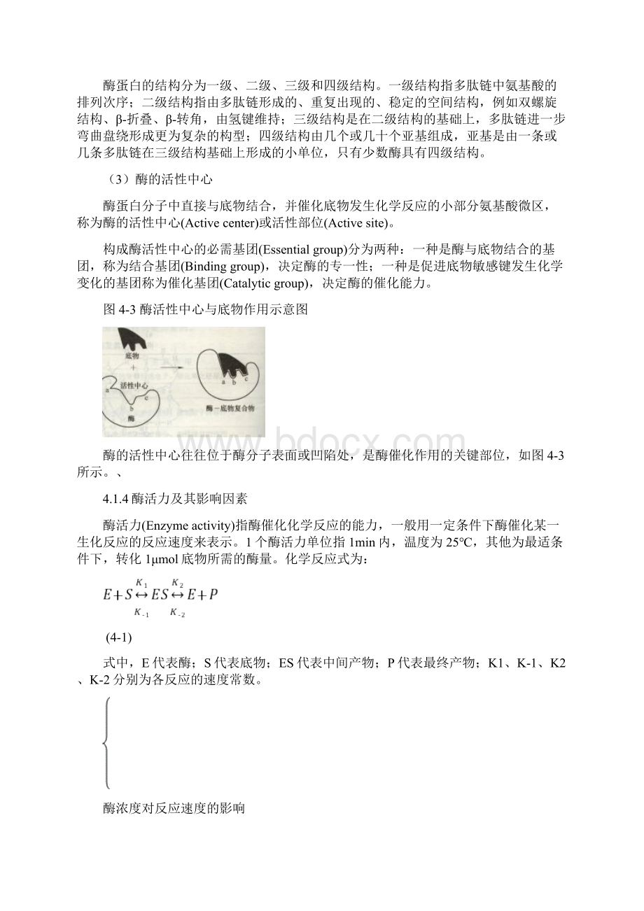 第四章微生物对污染物的降解转化 本章重点 1掌握酶的概念及酶的.docx_第3页