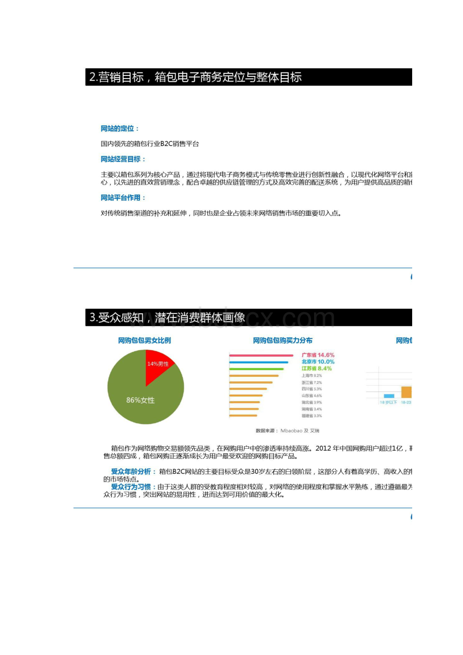 箱包电子商务垂直电商运营方案及品牌建设.docx_第3页