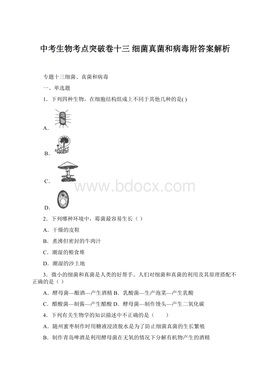 中考生物考点突破卷十三 细菌真菌和病毒附答案解析Word文档格式.docx