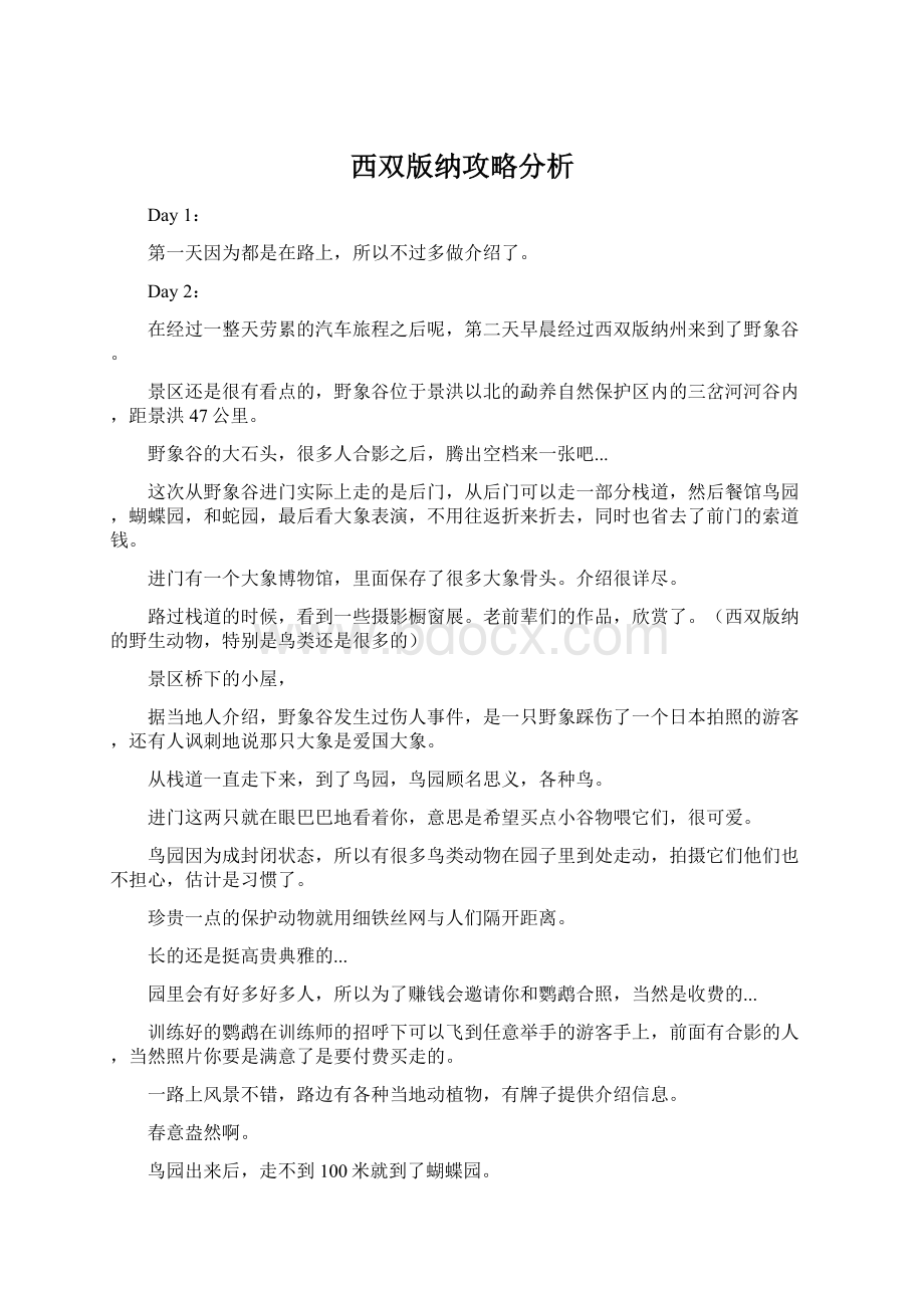 西双版纳攻略分析.docx