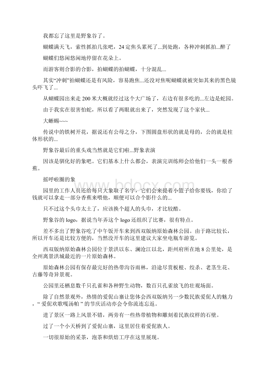 西双版纳攻略分析.docx_第2页