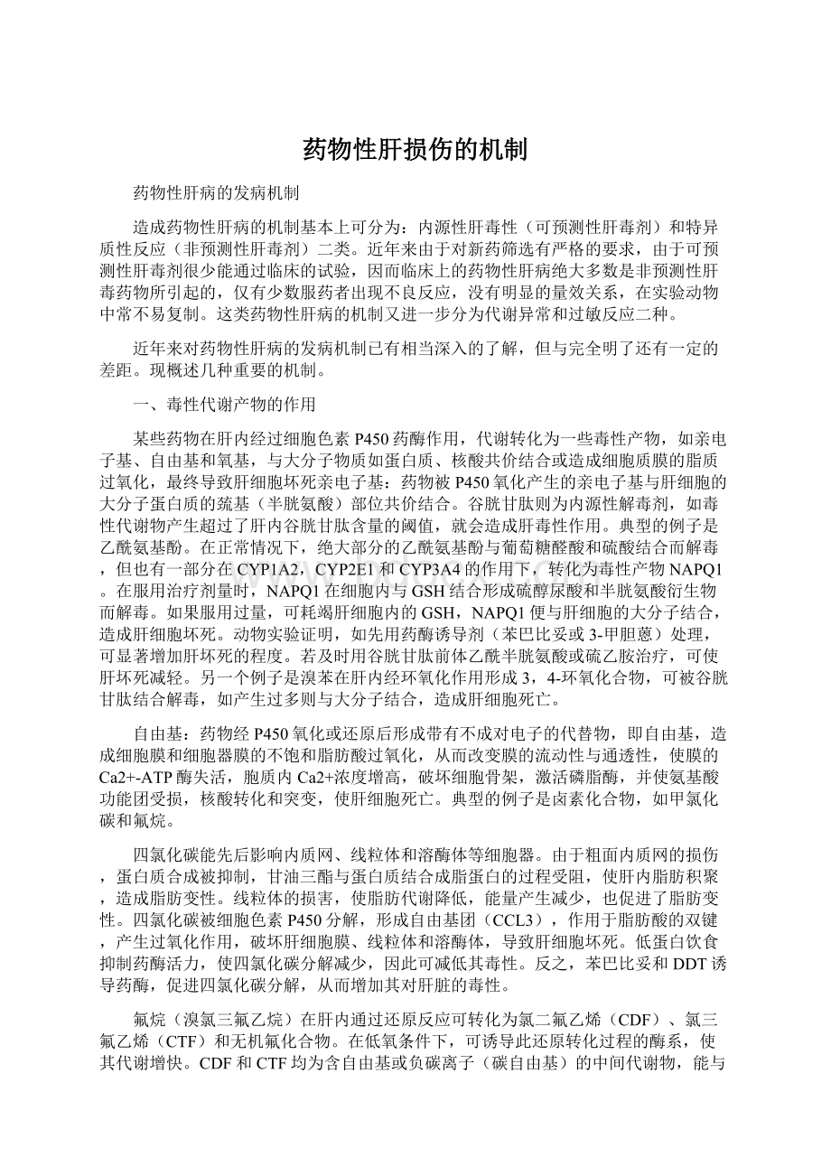 药物性肝损伤的机制Word文件下载.docx