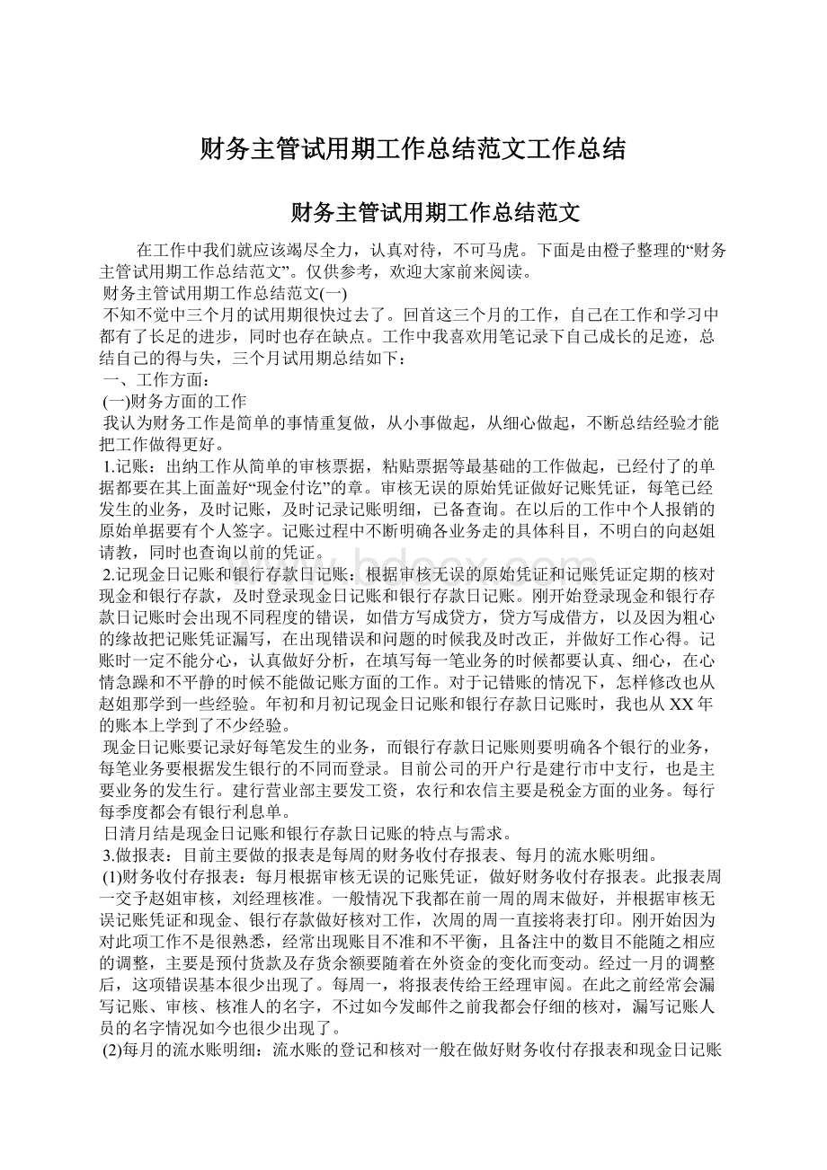 财务主管试用期工作总结范文工作总结Word格式文档下载.docx