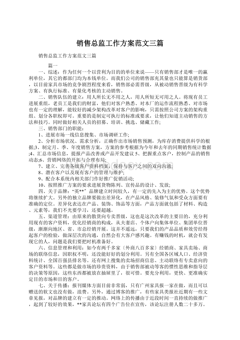 销售总监工作方案范文三篇Word格式文档下载.docx_第1页