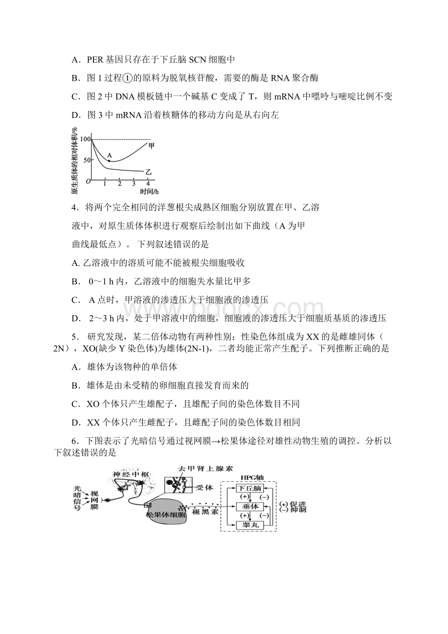 吉林省吉林市届高三第三次调研考试理综试题附参考答案及评分标准.docx_第2页