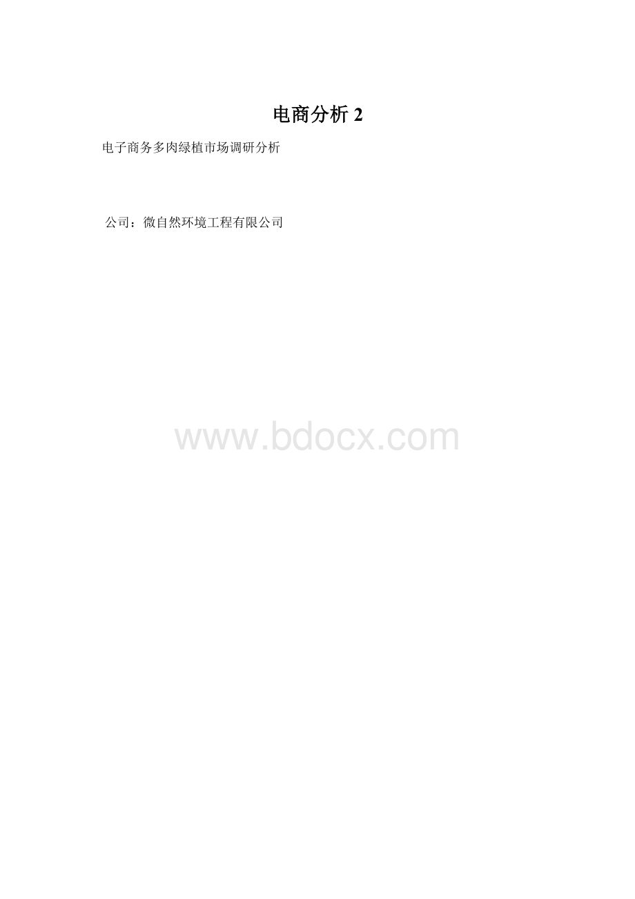 电商分析 2.docx_第1页