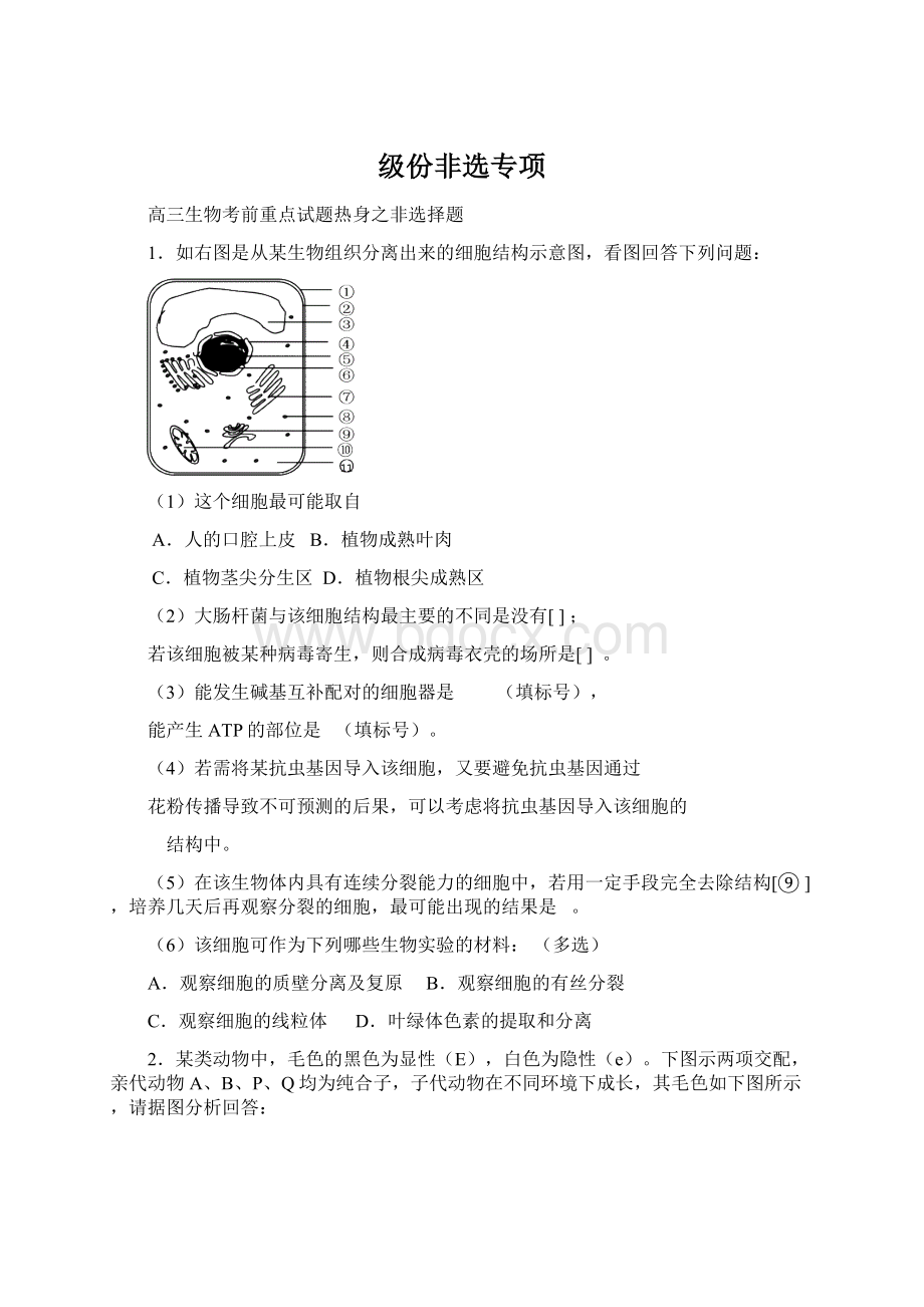 级份非选专项Word格式文档下载.docx