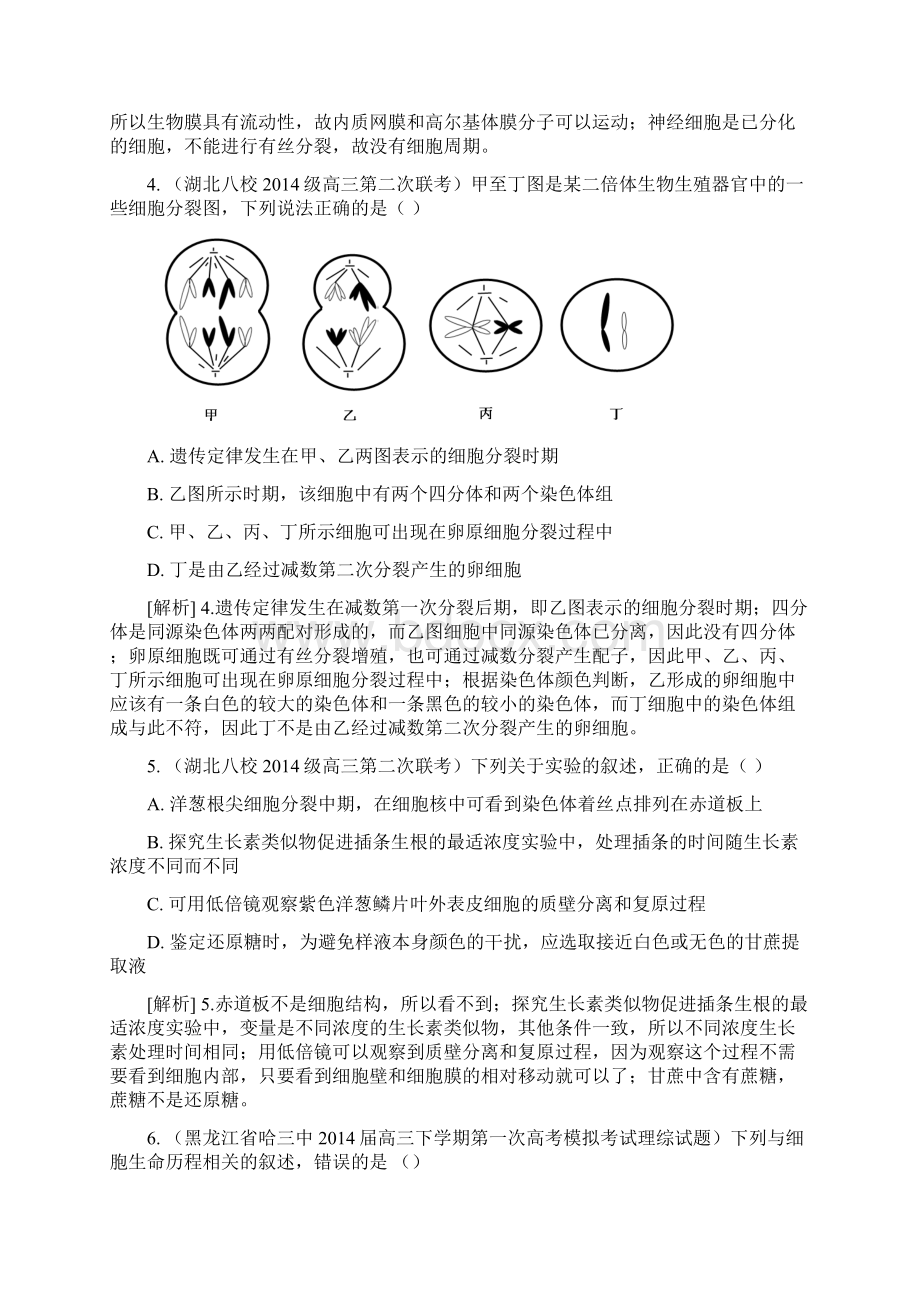 细胞的增殖.docx_第2页