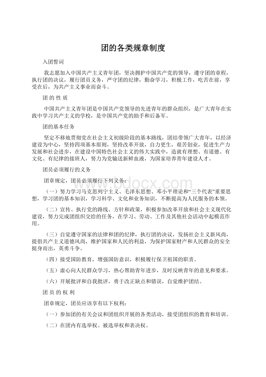 团的各类规章制度文档格式.docx_第1页