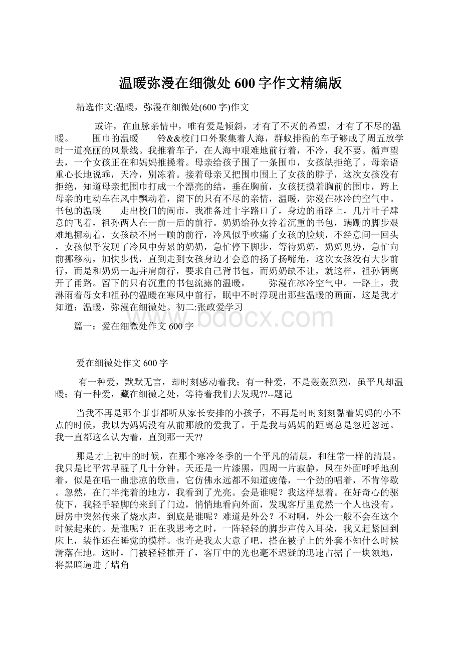 温暖弥漫在细微处600字作文精编版文档格式.docx