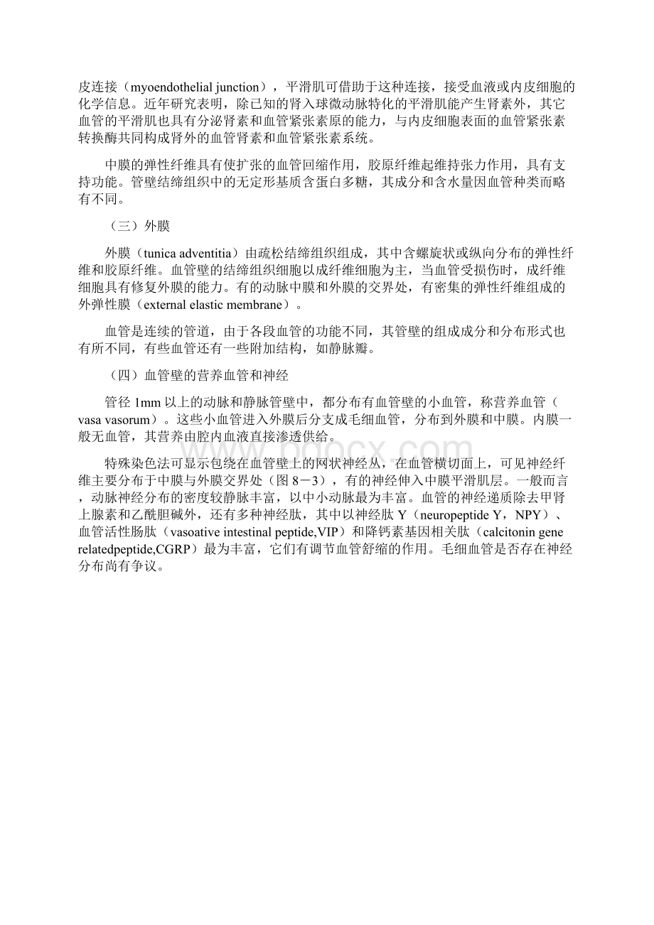 血管Word下载.docx_第3页