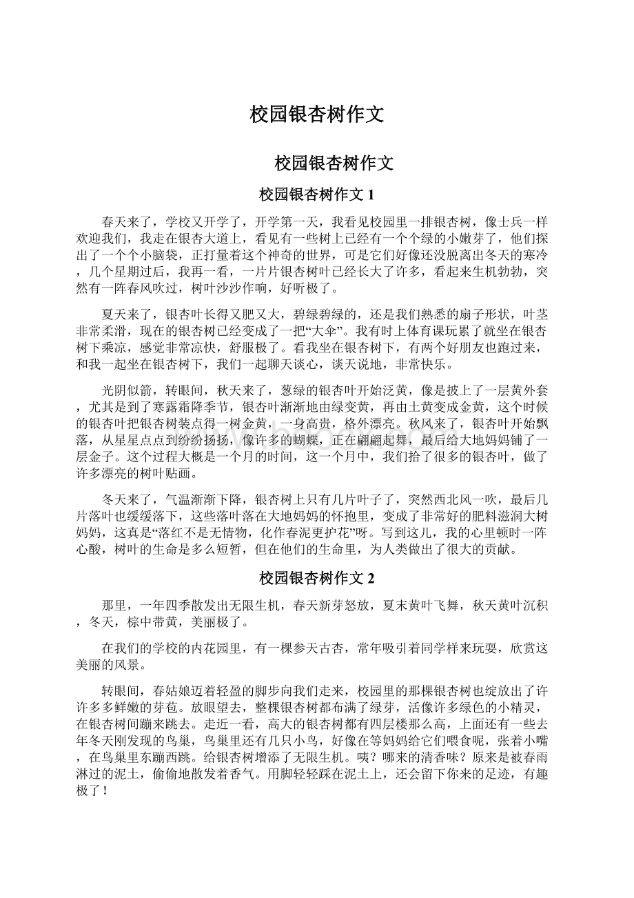 校园银杏树作文Word文件下载.docx