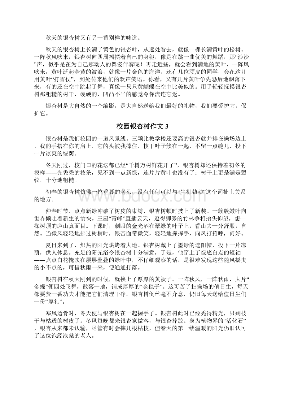 校园银杏树作文Word文件下载.docx_第2页