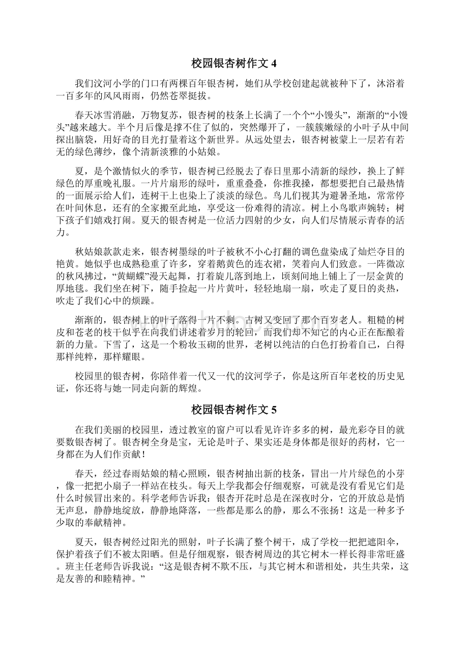 校园银杏树作文Word文件下载.docx_第3页