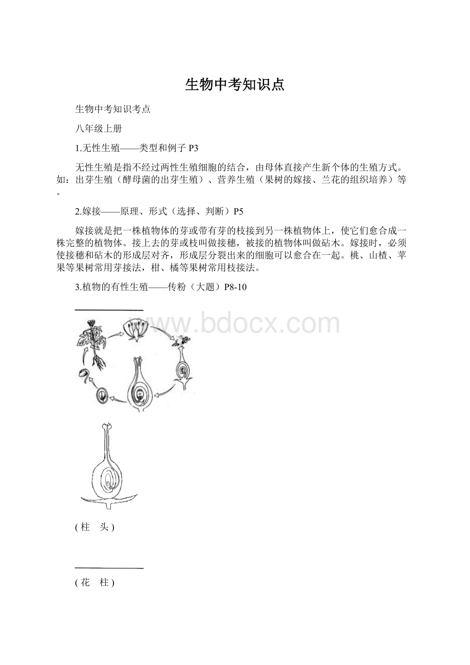 生物中考知识点.docx