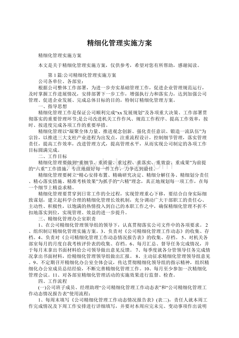 精细化管理实施方案Word文档格式.docx