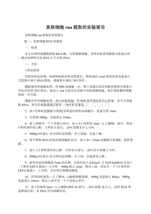 真核细胞rna提取的实验报告.docx