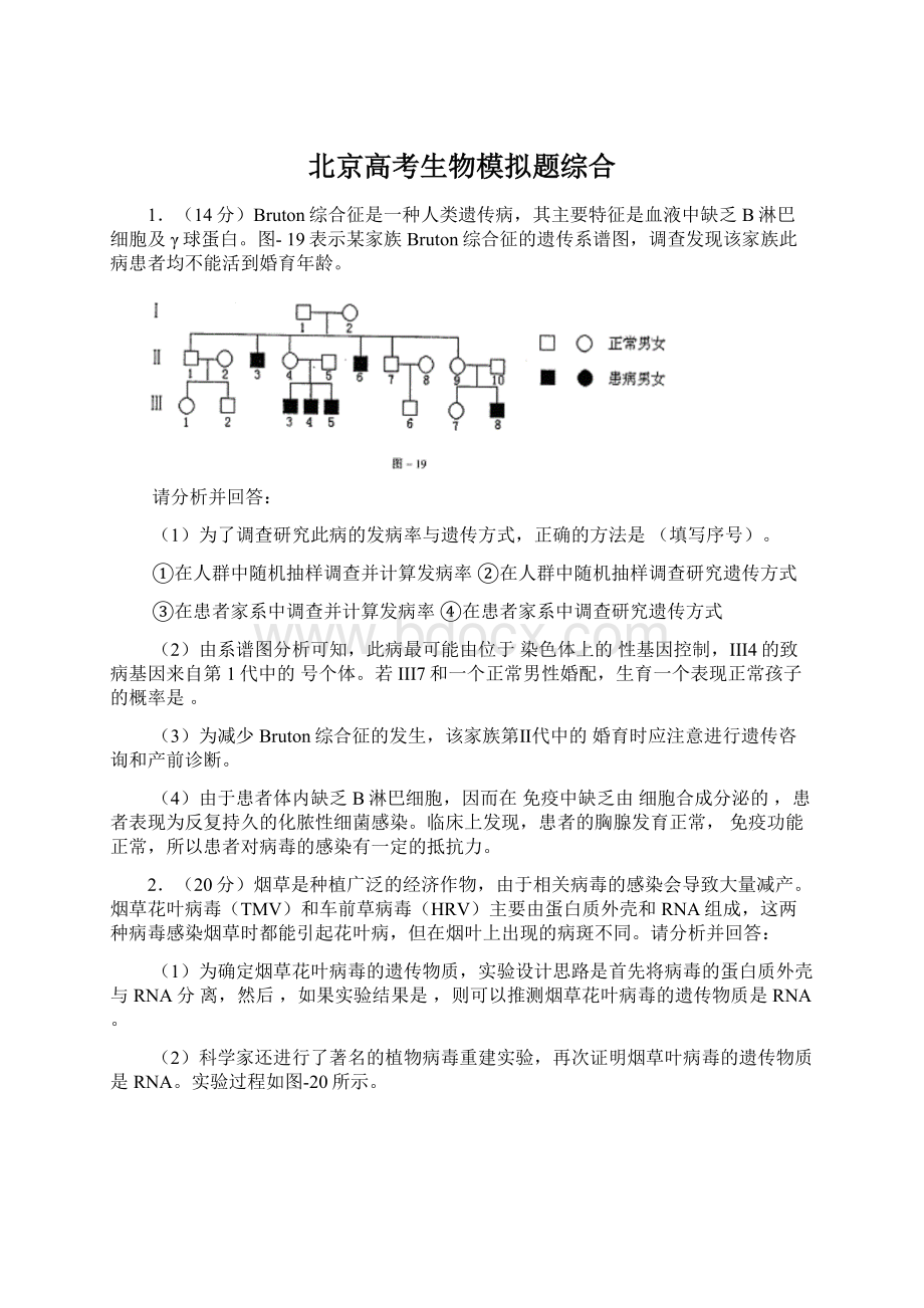 北京高考生物模拟题综合.docx