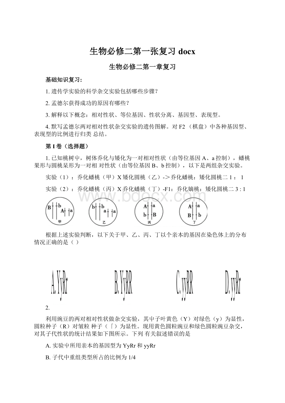 生物必修二第一张复习docx.docx_第1页