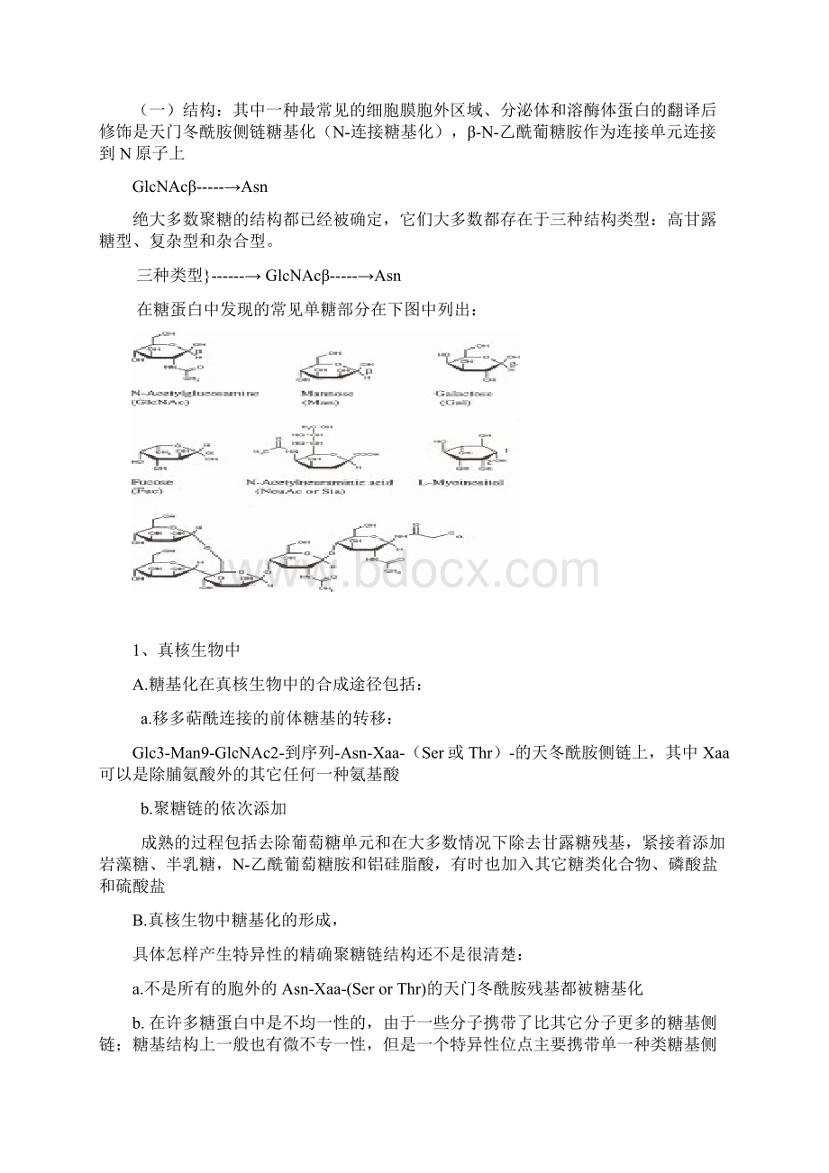 氨基酸残基的侧链修饰.docx_第3页