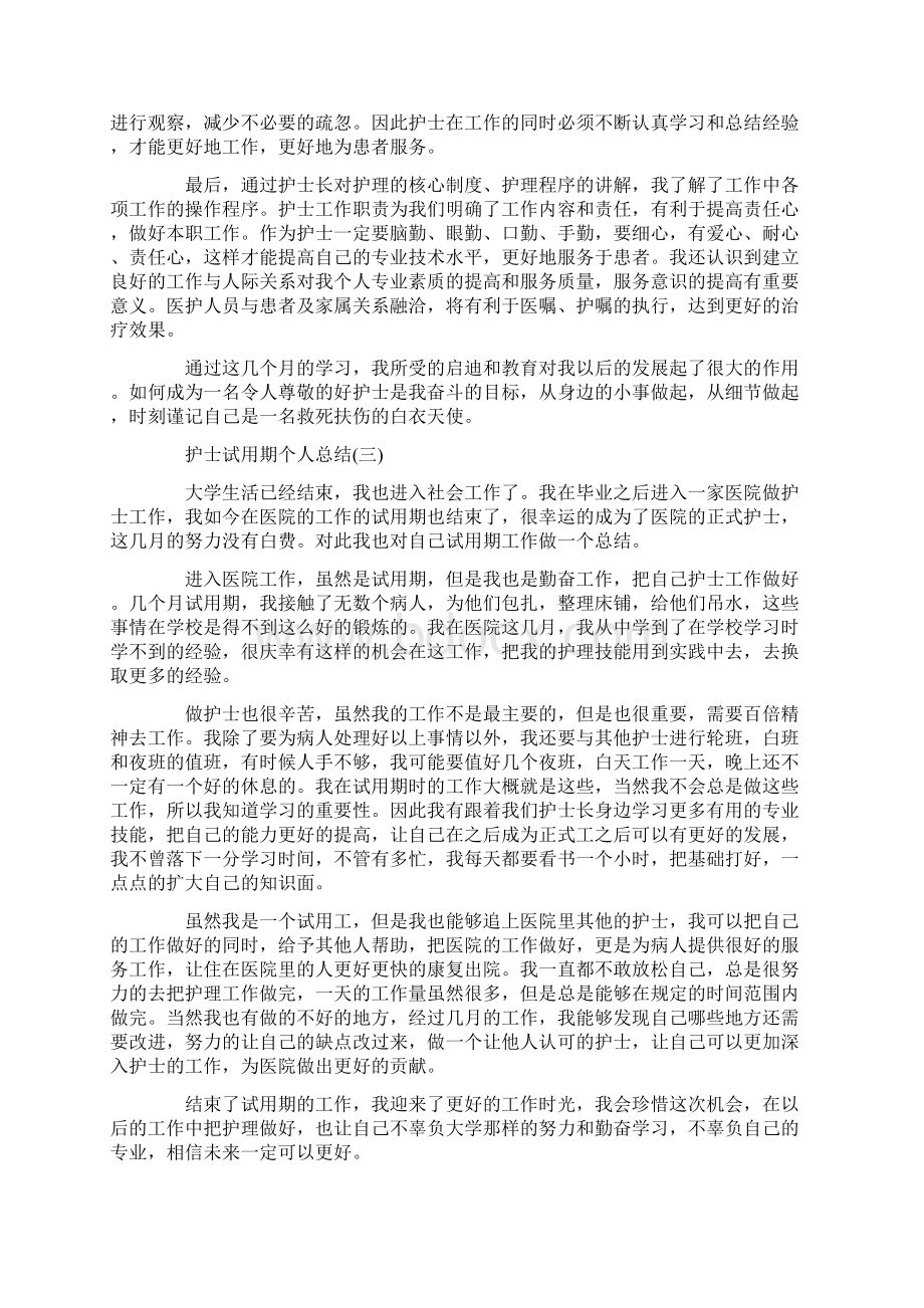 护士试用期个人总结十篇最新Word格式文档下载.docx_第2页