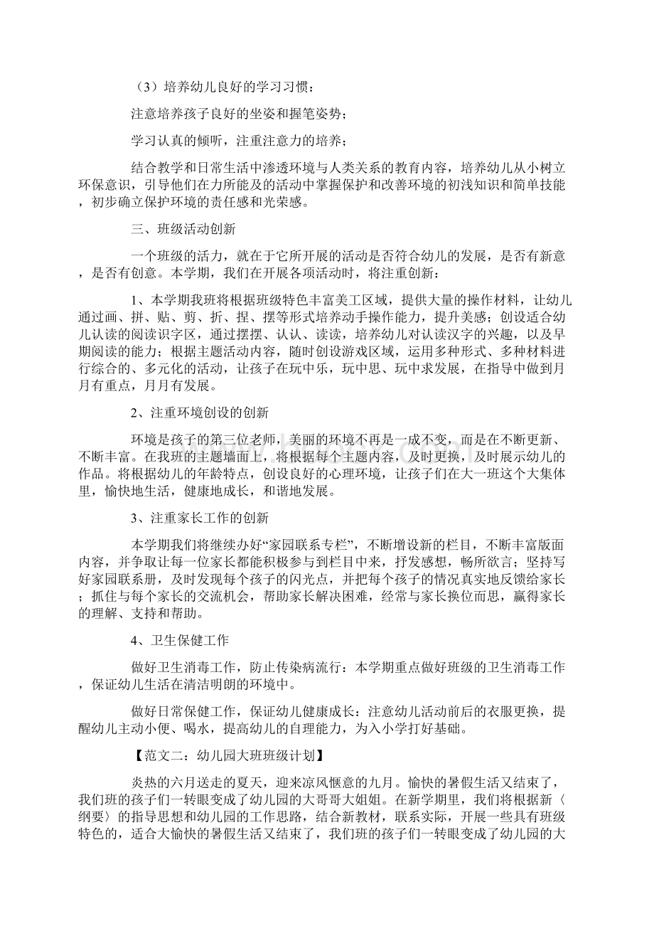 幼儿园大班班级计划.docx_第2页