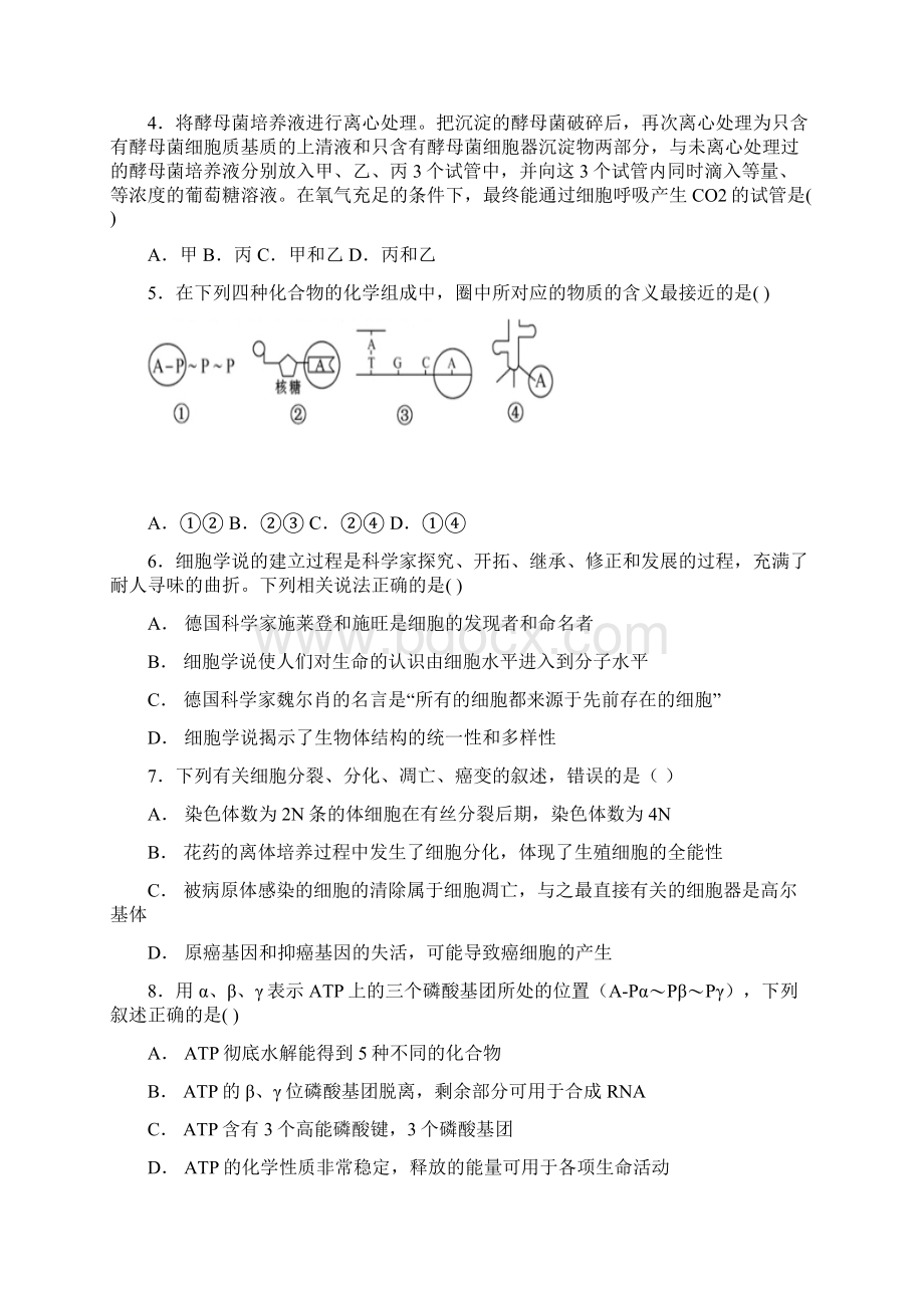 精品届高三生物月考试题新版新人教版Word格式.docx_第2页