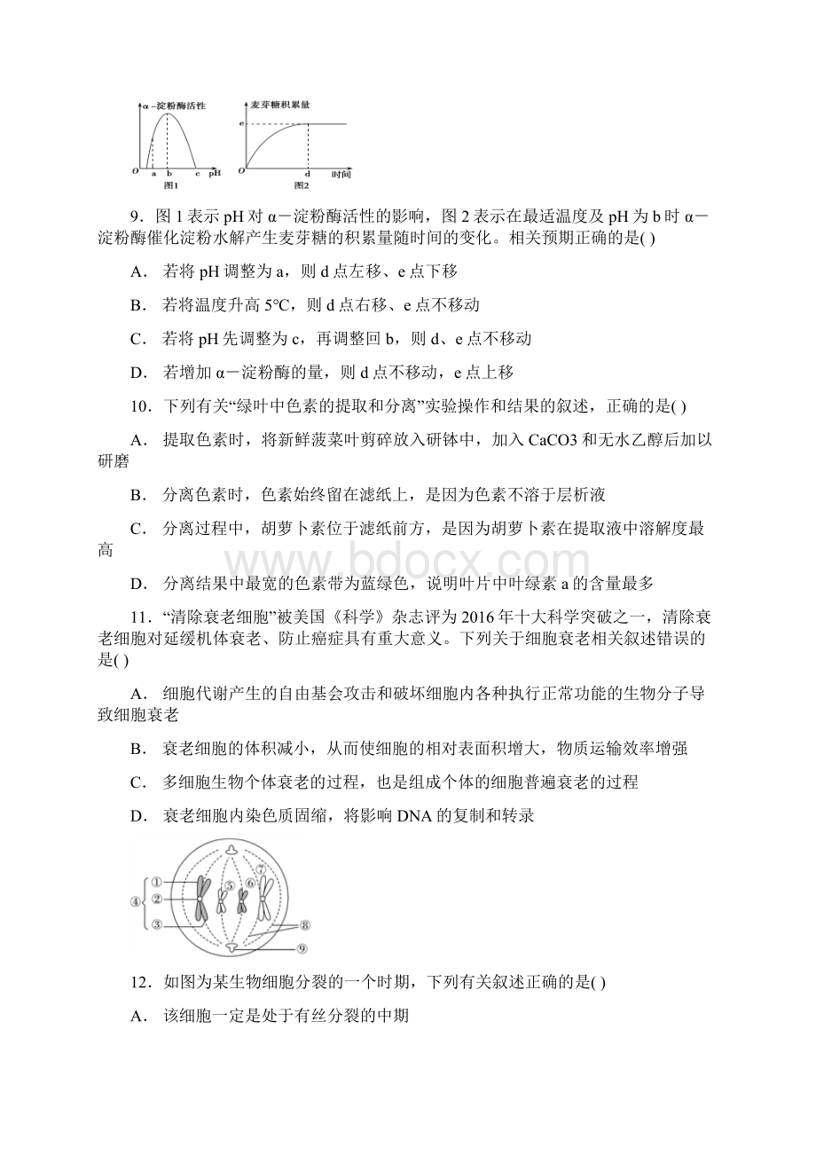 精品届高三生物月考试题新版新人教版Word格式.docx_第3页