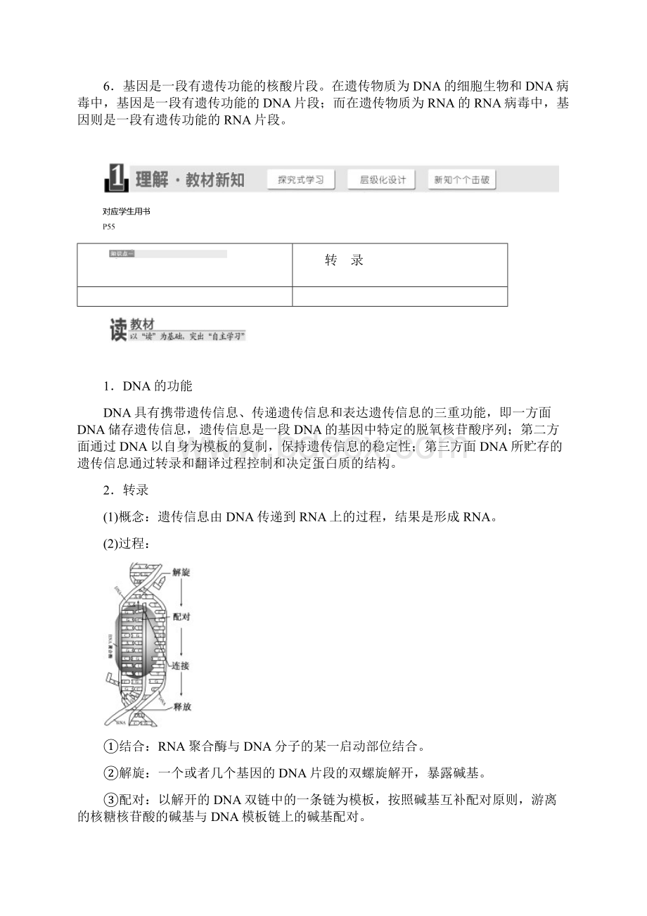 高中生物浙科版浙江专版必修二学案第三章 第四节 遗传信息的表达RNA和蛋白质的合成 Word版含答案Word下载.docx_第2页