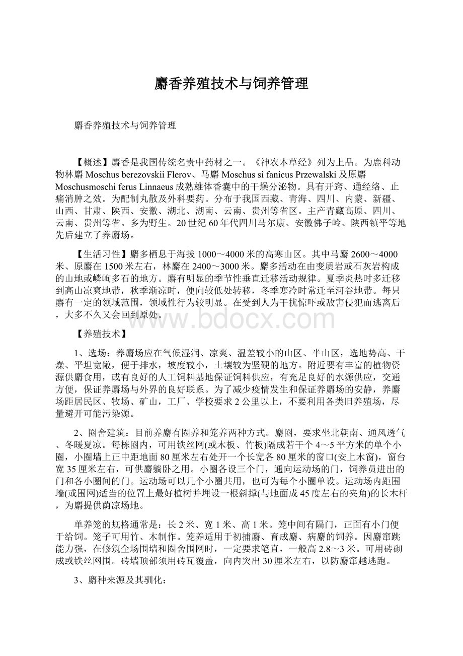 麝香养殖技术与饲养管理.docx