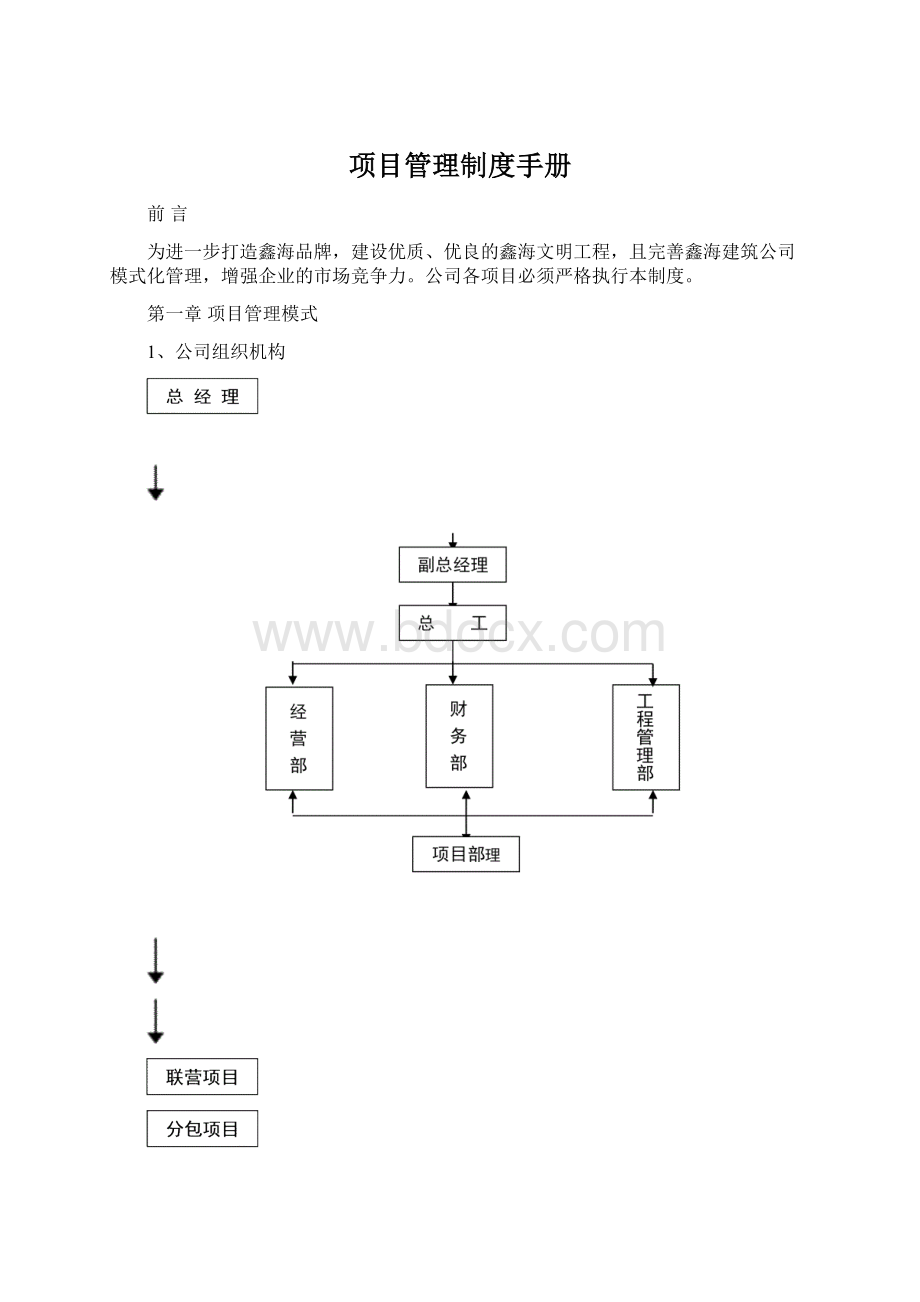 项目管理制度手册.docx_第1页