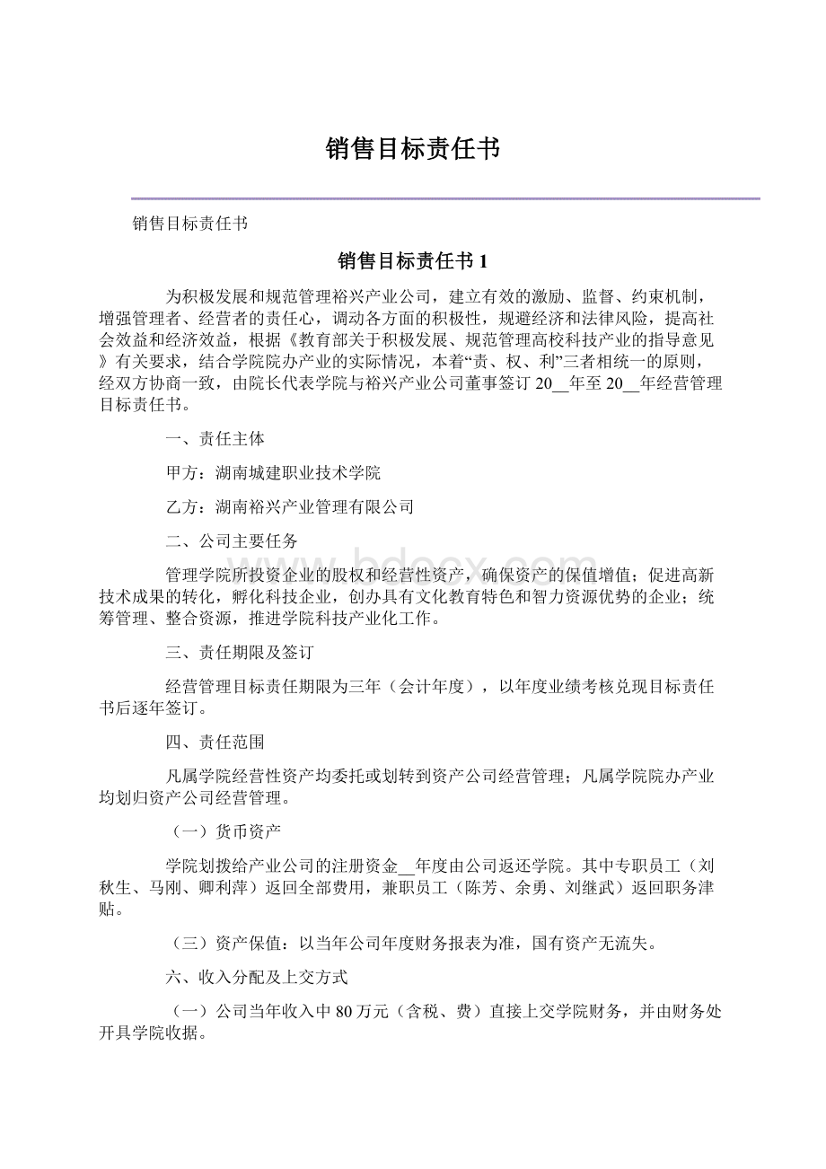 销售目标责任书文档格式.docx