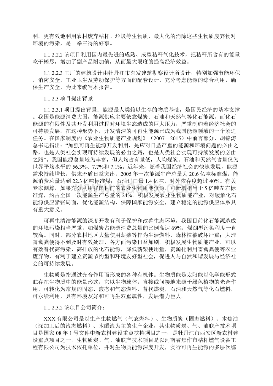 生物质炭气油联产技术项目可行性研究报告文档格式.docx_第2页