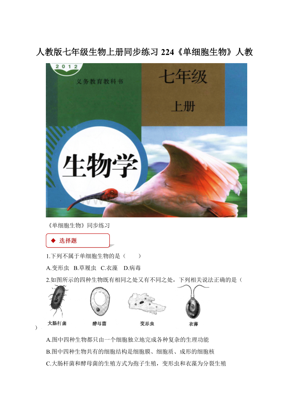 人教版七年级生物上册同步练习224《单细胞生物》人教.docx_第1页