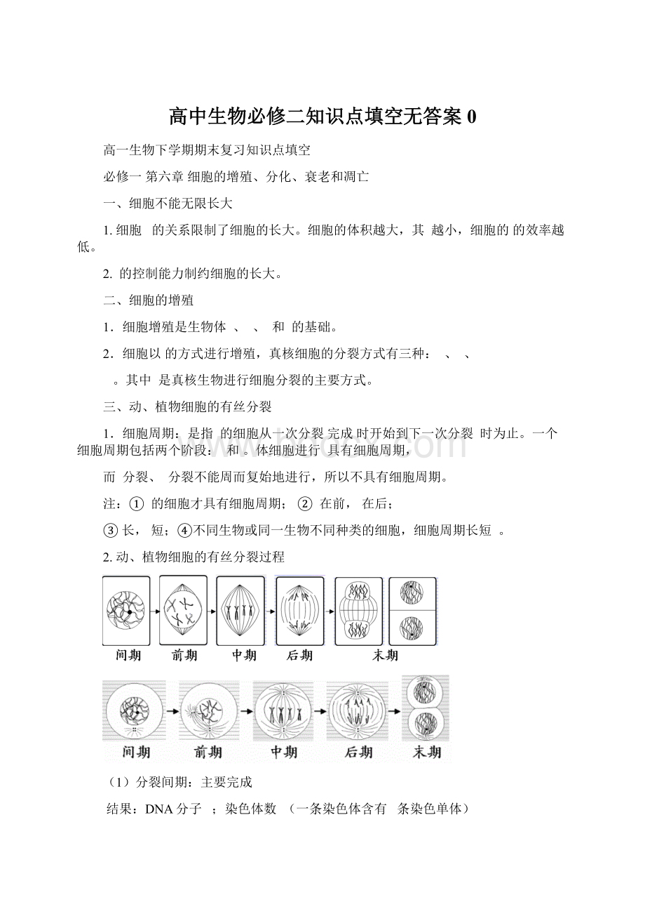 高中生物必修二知识点填空无答案0Word下载.docx