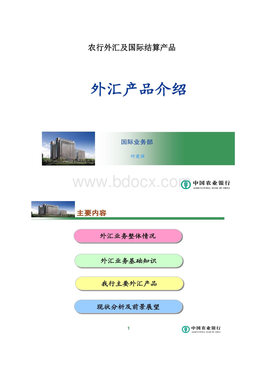 农行外汇及国际结算产品Word文档下载推荐.docx