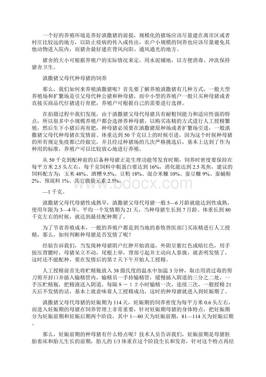 滇撒猪配套系的养殖技术.docx_第2页