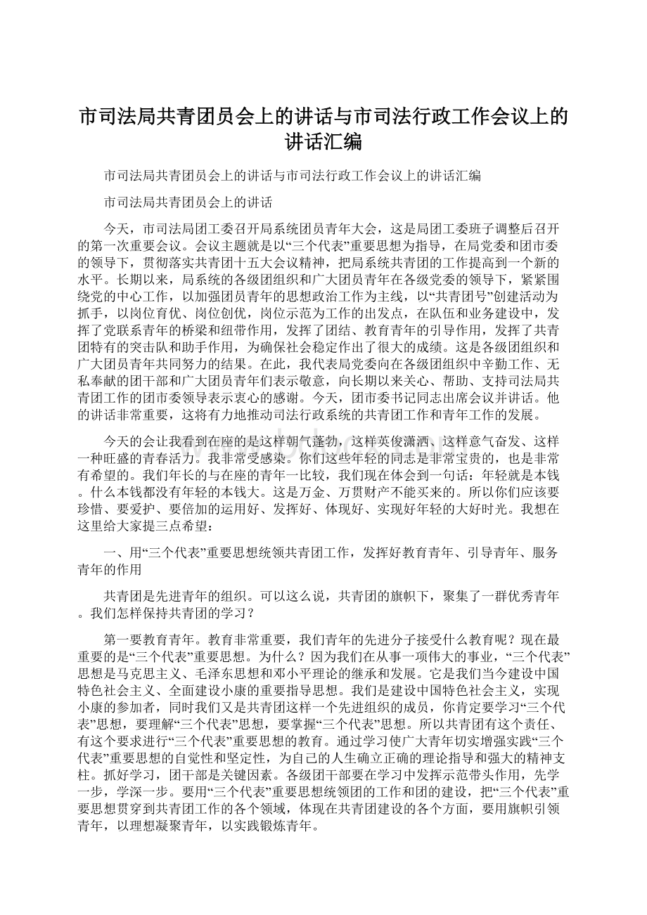 市司法局共青团员会上的讲话与市司法行政工作会议上的讲话汇编Word文件下载.docx