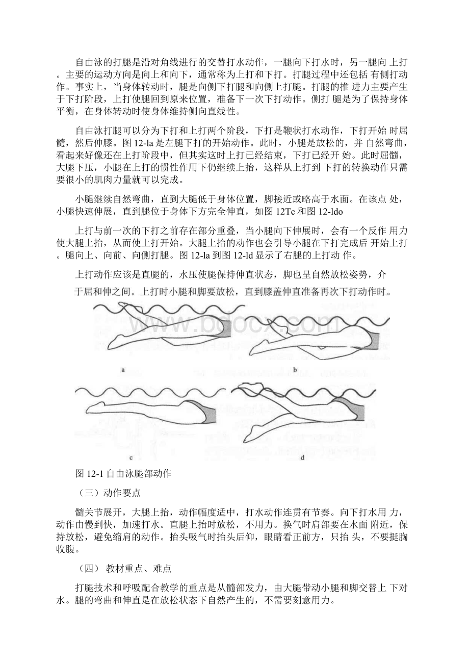 人教版初中八年级体育与健康游泳《自由泳》教案docxWord文件下载.docx_第2页