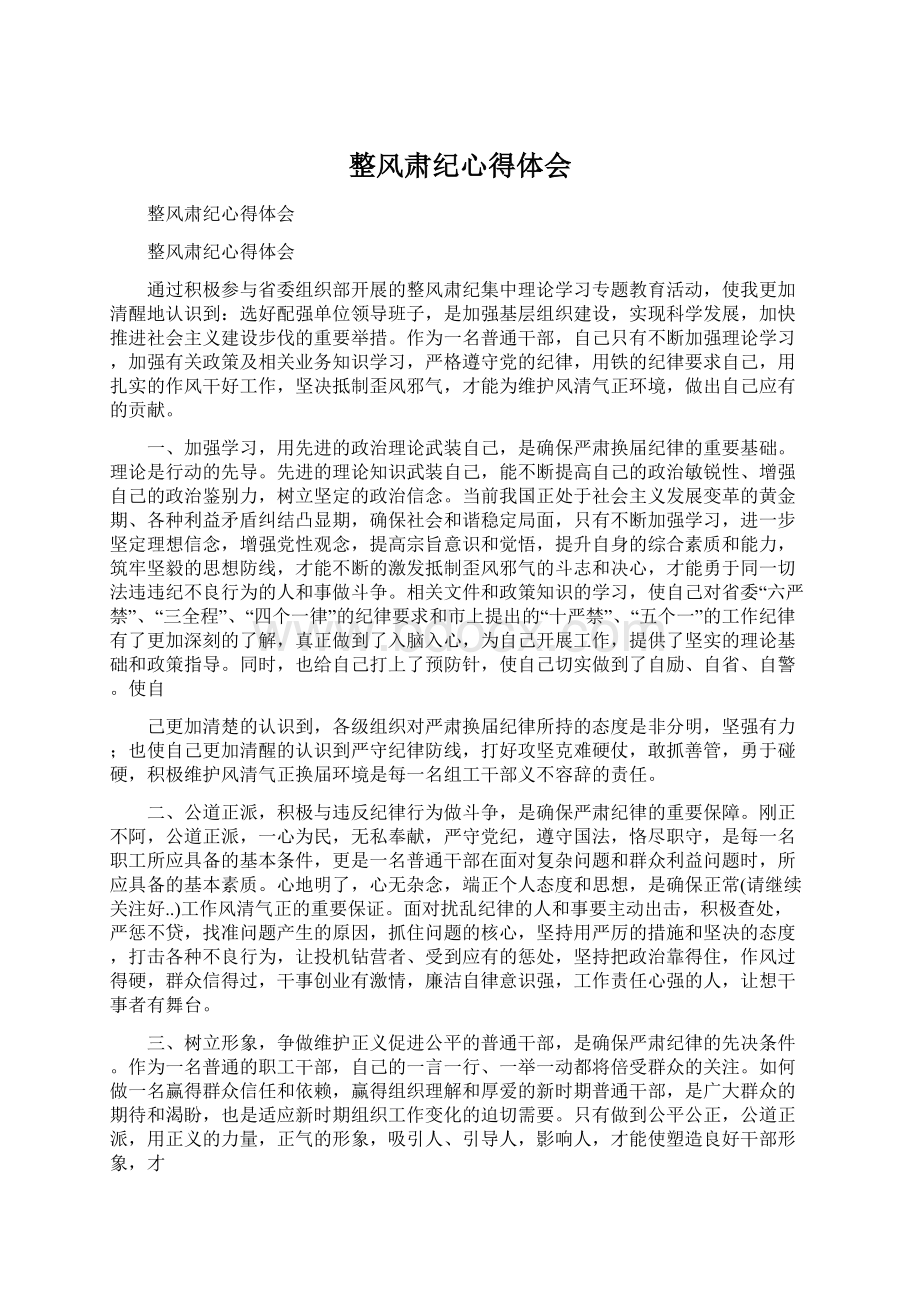 整风肃纪心得体会Word文档格式.docx