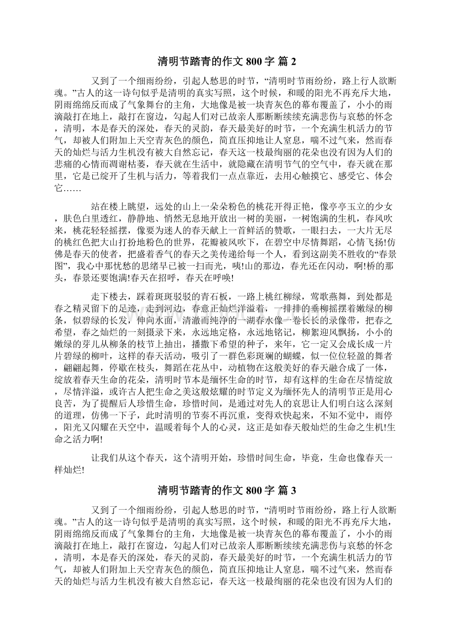 清明节踏青的作文800字合集六篇.docx_第2页