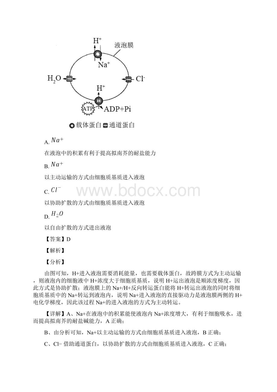 精品解析湖北省普通高等学校招生全国统一考试模拟演练生物试题解析版.docx_第3页