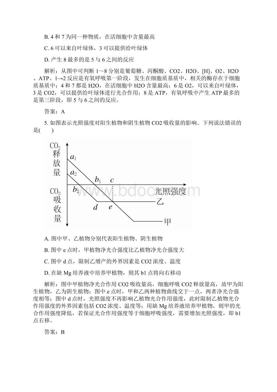 与光合作用细胞呼吸有关的专题集训Word格式.docx_第3页