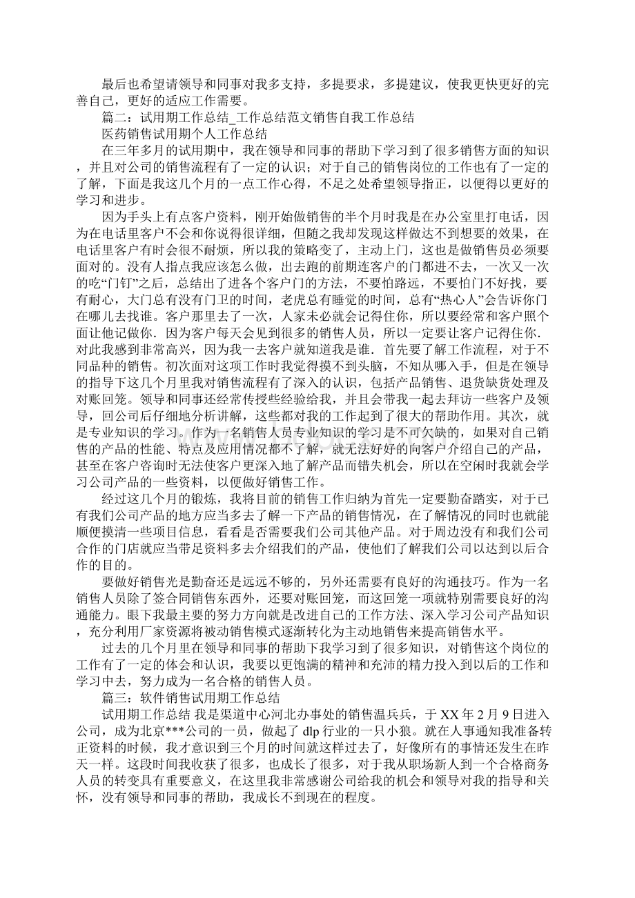 销售业务员试用期工作总结文档格式.docx_第2页